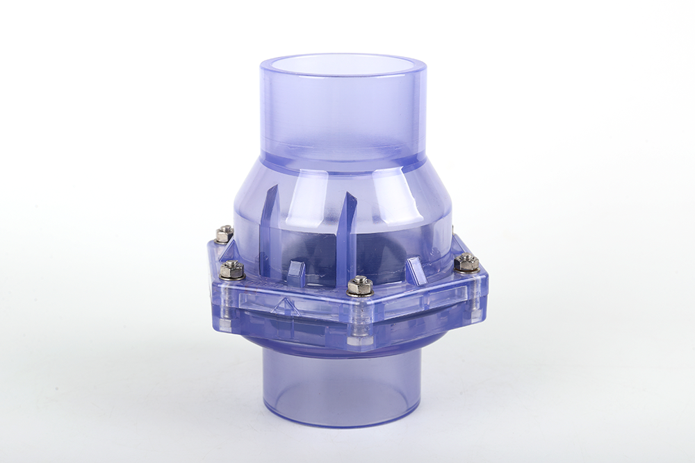 当阳透明翻板式止回阀